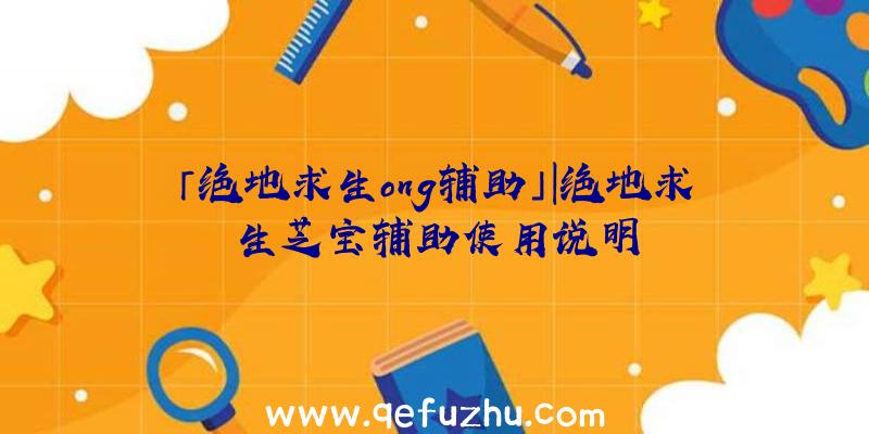 「绝地求生ong辅助」|绝地求生芝宝辅助使用说明